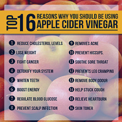 Apple Cider Vinegar: The Miracle Drink | by Devansh Mittal | Devansh Mittal  | Medium